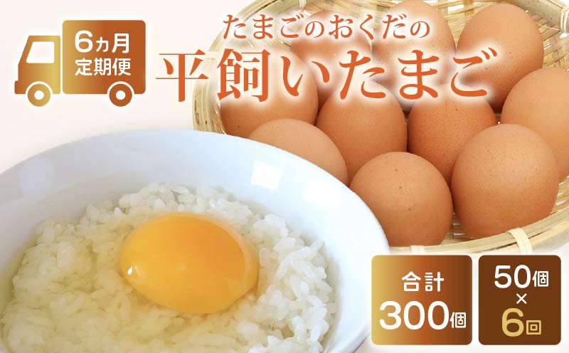 【定期便6回】 平飼い卵 50個入り たまご 卵 タマゴ 鶏卵