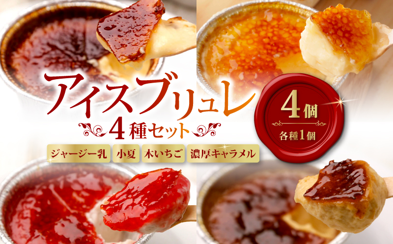 アイスブリュレ４種セット (ジャージー乳、小夏、木いちご、濃厚キャラメル 各種1個) クレーム ブリュレ キャラメル プリン クレームブリュレ おやつ お菓子 スイーツ スウィーツ 贈答 贈り物 ギフト プレゼント 送料無料 人気 おすすめ 高知県 南国市