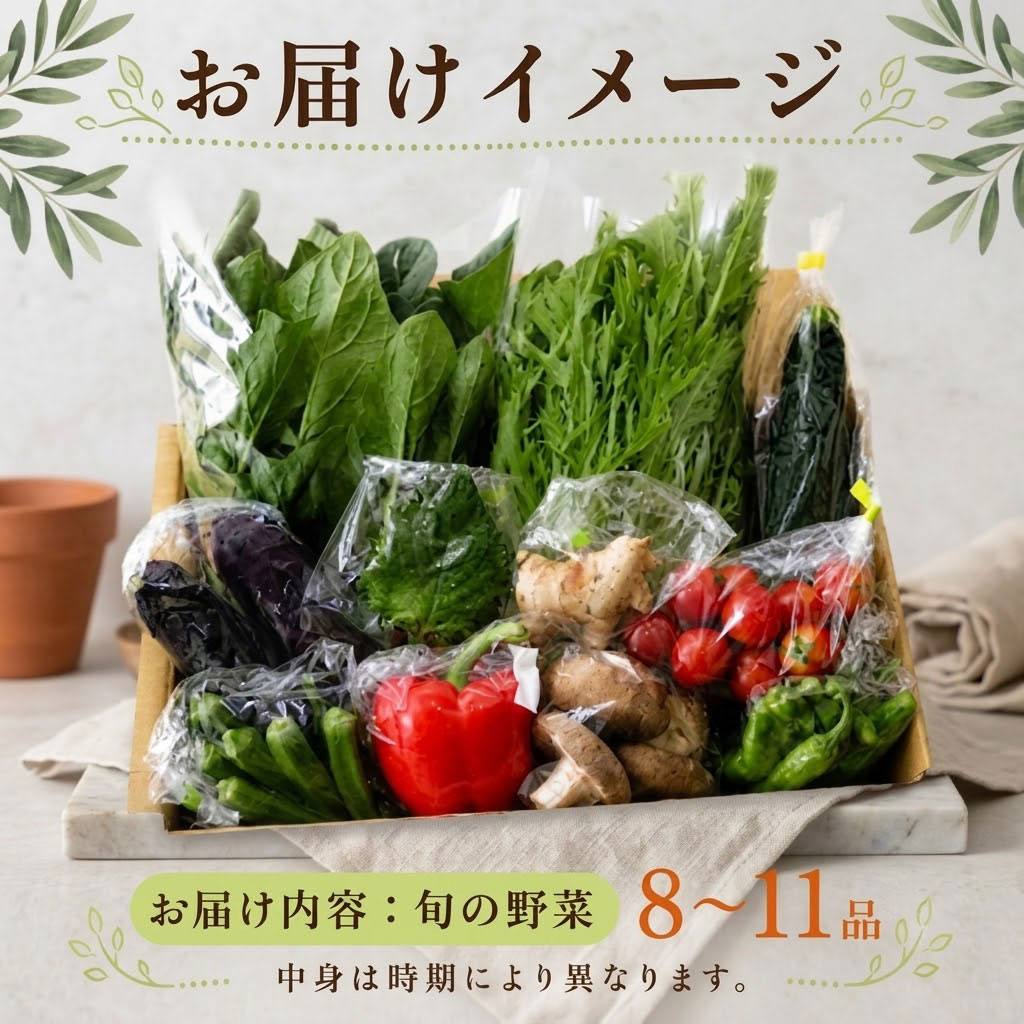 こだわりの新鮮野菜セット 8~11品目 | 野菜セット 新鮮 野菜 人気 季節の野菜 おすすめ 高知県 南国市