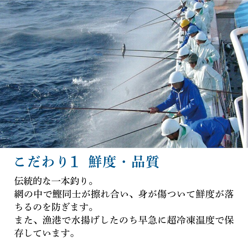 土佐料理司 一本釣り とろ鰹の刺身1節・鰹たたき2節セット
