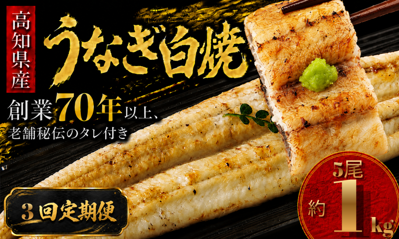 【3回 定期便】 高知県産 うなぎ 白焼 5尾 | 国産 日本産 うな重 うな丼 鰻 ウナギ 有頭 白焼き しらやき 土用丑の日 土用の丑の日 丑の日 魚 魚介 魚貝 海鮮 高級 贅沢 特別 老舗 初音 釜めし初音 鰻蒲焼 タレ付き タレ 贈答 お取り寄せ 冷凍 うな重 ギフト 贈り物 お祝い プレゼント ご褒美 人気 おすすめ 湯煎 簡単 調理 おかず お手軽 ご当地 グルメ 高知県 南国市
