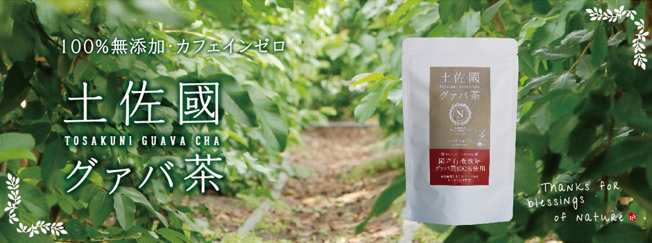 国産有機栽培グァバ葉100％使用 土佐國グァバ茶2g×30包入り 3個セット
