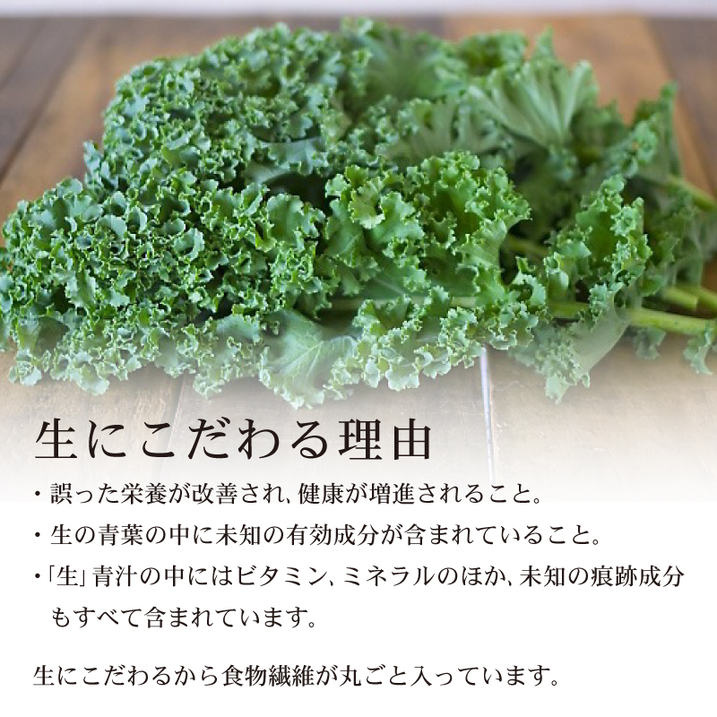 遠藤青汁 お試し セット 【生】 冷凍 7袋 700g ( 100g × 7袋  ) | 健康 美容 乳酸菌 国産 ケール ビタミン ミネラル 食物繊維 冷凍 ロングセラー お試し青汁 遠藤青汁 新鮮 高知県 南国市