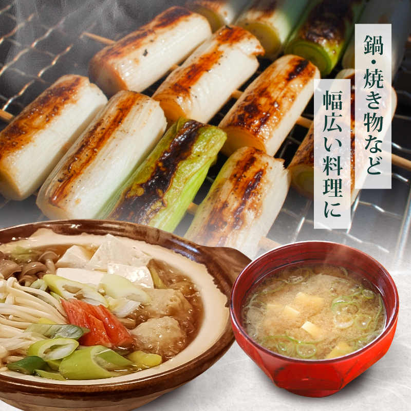 【先行予約 2026年12月～発送】白ねぎ 2kg(10～15本) | 長ネギ 葱 薬味 鍋 すき焼き ねぎま うどん そば 農園けんぴ 高知県 南国市