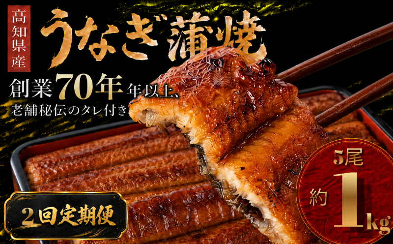 【2回 定期便】  高知県産 うなぎ 蒲焼 5尾 | 国産 日本産 うな重 うな丼 鰻 ウナギ 有頭 蒲焼き かばやき 土用丑の日 土用の丑の日 丑の日 魚 魚介 魚貝 海鮮 高級 贅沢 特別 老舗 初音 釜めし初音 鰻蒲焼 タレ付き タレ 贈答 お取り寄せ 冷凍 うな重 ギフト 贈り物 お祝い プレゼント ご褒美 人気 おすすめ 湯煎 簡単 調理 おかず お手軽 ご当地 グルメ 高知県 南国市