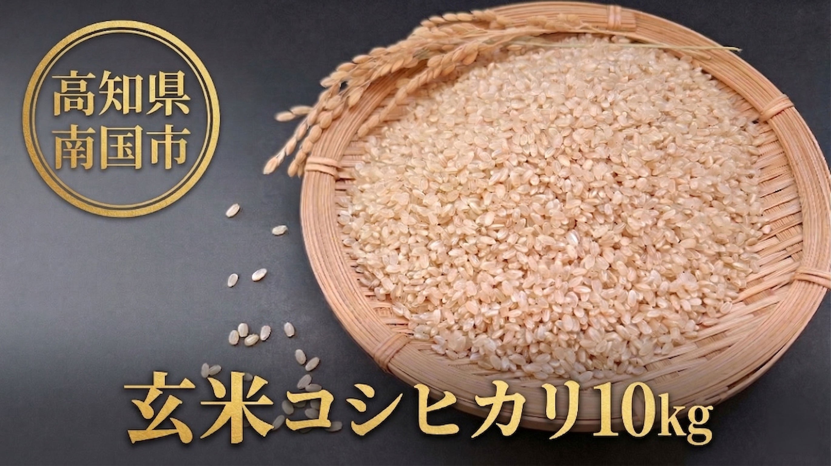 玄米 コシヒカリ 10キロ 10㎏ 数量限定 米 コメ お米 ご飯 おにぎり こめ 令和7年度 農家直送 産地直送 ふるさと納税  高知県 南国市