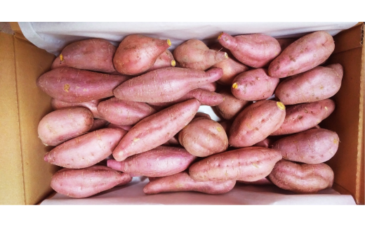 ãæ°èçºééå§ã ãµããã€ã¢ è©°ãåãã 5ãã ããšã«ã¹ã€ãŒã ïŒ1çš®é¡ä»¥äž å®çŽé»é çŽ
ã¯ãã åäœçŽ
çŒãè çŒãã çŒè ãããã éè ããã é£å äººæ° ãããã é«ç¥ç ååœåž