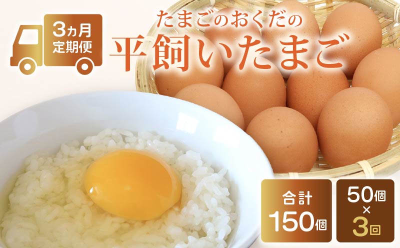 【定期便3回】 平飼い卵 50個入り たまご 卵 タマゴ 鶏卵