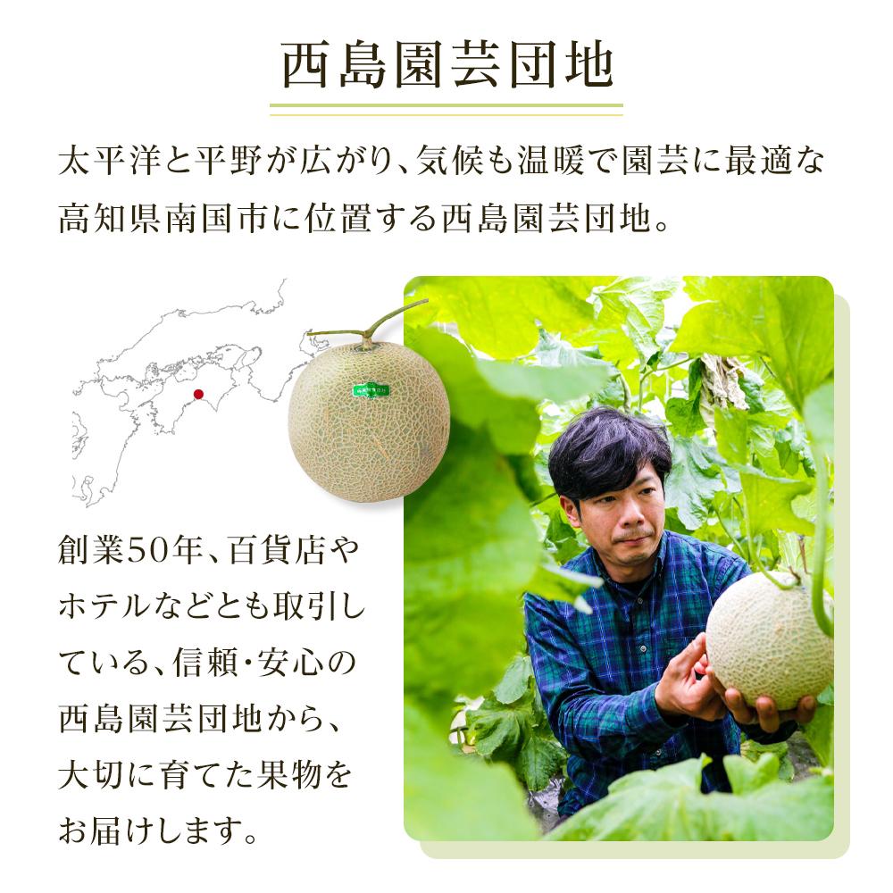 【先行予約】贈答用 メロン 青肉・赤肉 セット 各1個 | 青肉 メロン 赤肉 メロン セット 1個 マスクメロン めろん フルーツ 果物 厳選 高級 人気 デザート ギフト プレゼント 贈り物 くだもの 食べ比べ 旬 お取り寄せ メロン 甘い 高糖度 メロン 産地直送 季節限定 先行予約 西島園芸団地 高知県 南国市