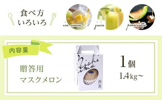 高知県南国市産／贈答用マスクメロン（1個）【メロン フルーツ くだもの デザート 高評価 厳選 高級 ギフト 贈り物 人気 おすすめ】【メロン マスクメロン フルーツ 果物 くだもの 食品 デザート 高評価 厳選 高級 ギフト 贈り物 人気 おすすめ 】