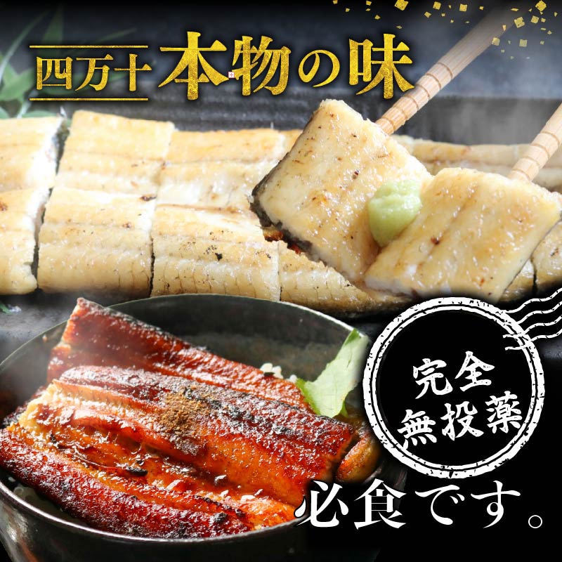 【通常用】【4回定期便】極上国産うなぎ四万十桜 白焼き約140g×3尾 | うなぎ 鰻 ウナギ 白焼き 定期便 国産 四万十鰻 ウナギ 蒲焼き 調理済み タレ付き 頒布会 ギフト（お歳暮/お正月）高級 お取り寄せ グルメ 食べ比べ 冷凍