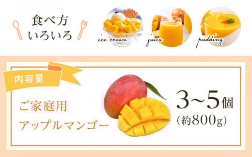 【先行予約】高知県南国市産／ご家庭用アップルマンゴー（2026年6月〜発送）【マンゴー フルーツ くだもの デザート 高評価 人気 おすすめ】【マンゴー アップルマンゴー フルーツ 果物 くだもの 食品  高評価 厳選 高級 ギフト 贈り物 人気 おすすめ 】