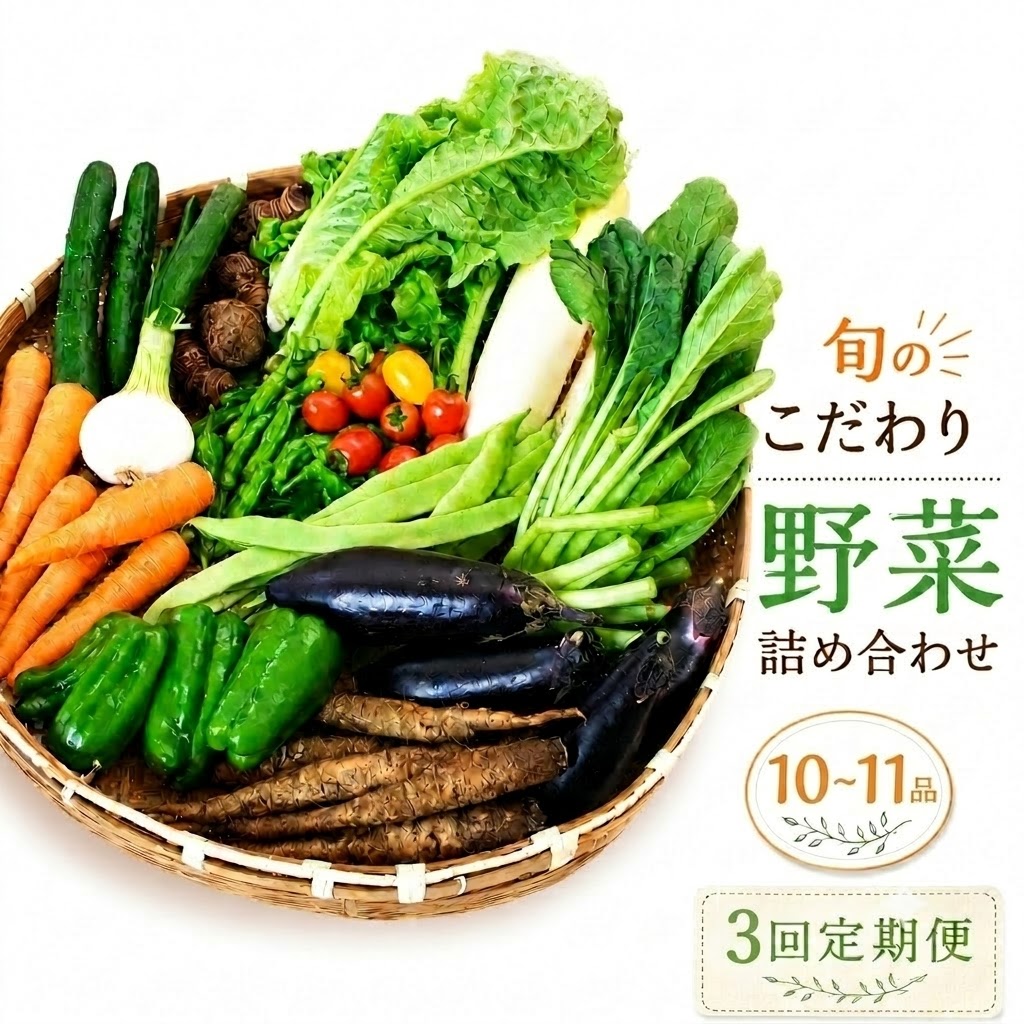 【先行予約】 【3回定期便】 朝採れ新鮮！ 野菜セット(10～11品) | 野菜セット 新鮮 野菜 人気 季節の野菜 数量限定 おすすめ 森尾商店 高知県 南国市