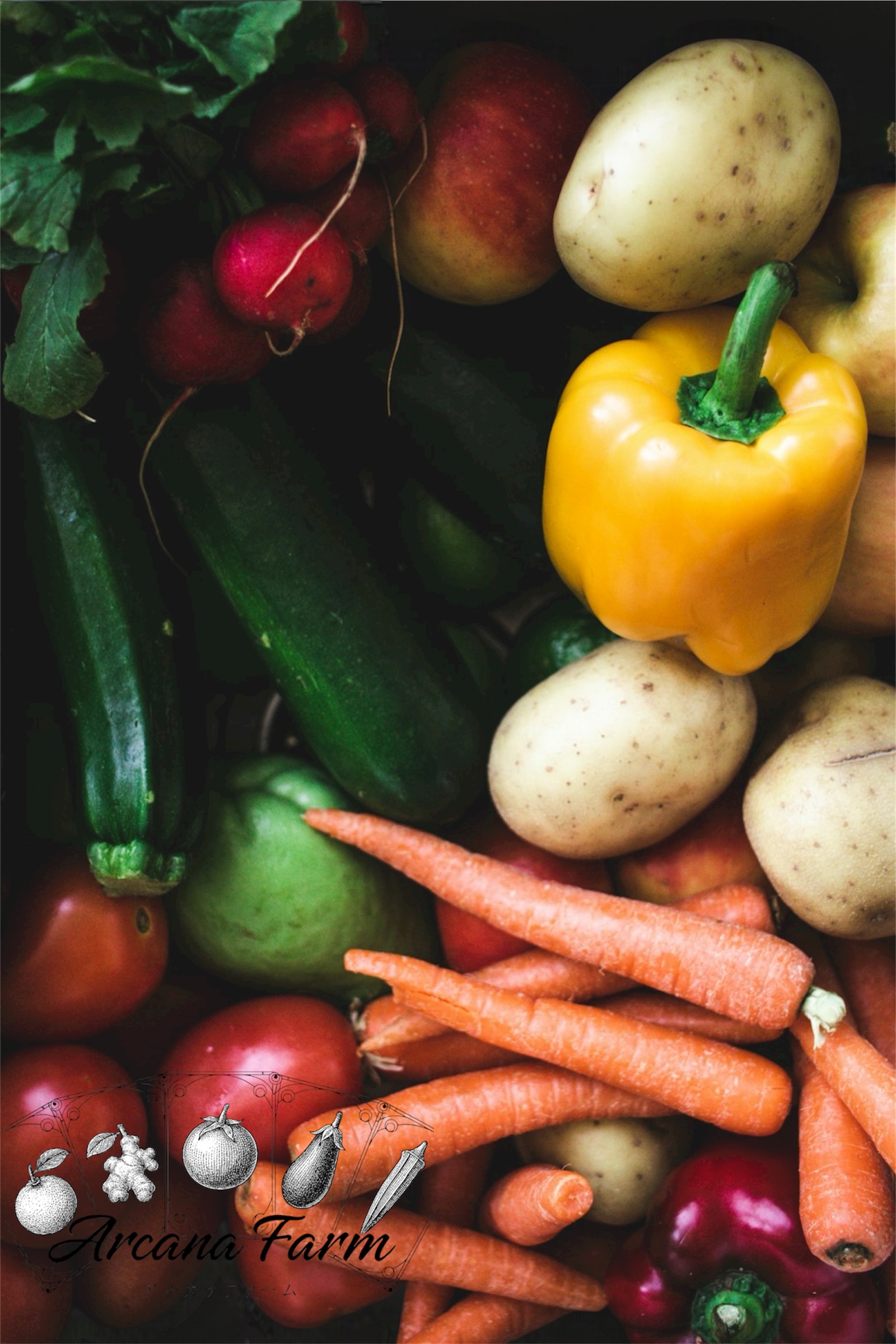 縲12蝗槫ョ壽悄萓ソ縲代%縺繧上j縺ョ譁ー魄ョ驥手除繧サ繝繝 8~11蜩∫岼 | 驥手除繧サ繝繝 譁ー魄ョ 驥手除 莠コ豌 蟄」遽縺ョ驥手除 縺翫☆縺吶a 鬮倡衍逵 蜊怜嵜蟶