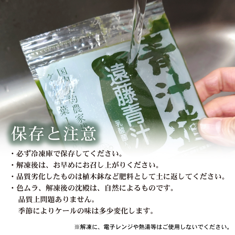 豆乳青汁 お試し セット 【生】 冷凍 7袋 700g( 100g × 7袋 ) | 健康 美容 乳酸菌 国産 ケール 大豆 ビタミン ミネラル 食物繊維 冷凍 ロングセラー お試し青汁 遠藤青汁 新鮮 高知県 南国市