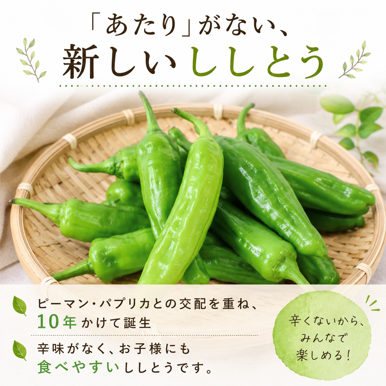 【先行予約】 ししとう 500g 辛くない シシトウ 新鮮 野菜 ししまろ 獅子唐 炒め物 野菜炒め 天ぷら バーベキュー BBQ  高知県 南国市