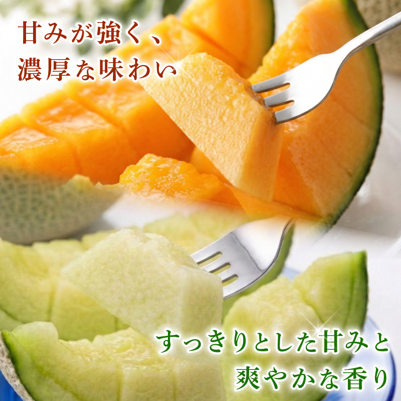 【先行予約】贈答用 メロン 青肉・赤肉 セット 各1個 | 青肉 メロン 赤肉 メロン セット 1個 マスクメロン めろん フルーツ 果物 厳選 高級 人気 デザート ギフト プレゼント 贈り物 くだもの 食べ比べ 旬 お取り寄せ メロン 甘い 高糖度 メロン 産地直送 季節限定 先行予約 西島園芸団地 高知県 南国市