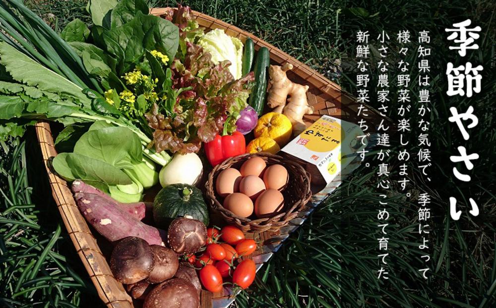 【野菜定期便全6回お届けコース】高知県産　南国土佐の季節野菜と卵（ゆずたま）の詰め合わせセット【新鮮野菜セット卵付き】