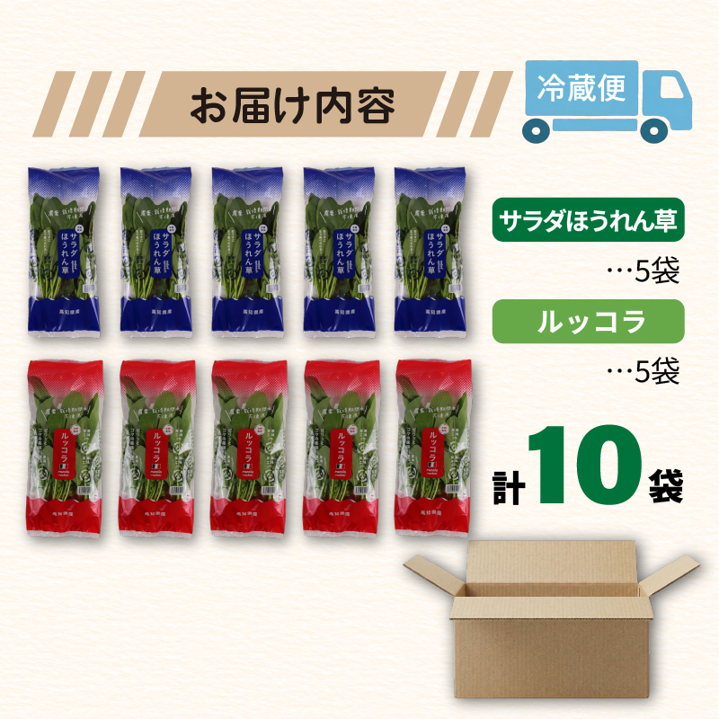 葉野菜 2種セット サラダ ほうれん草 ルッコラ | ほうれんそう ホウレンソウ 水菜 ミズナ 生食 野菜 セット 新鮮 健康 人気 おすすめ 高知県 南国市