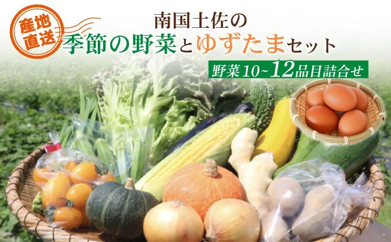南国土佐の季節野菜と卵（ゆずたま）の詰め合わせセット | セット 詰め合わせ 旬 やさい 野菜 たまご 卵 柚子 ゆず ゆずたま 農家直送 お楽しみ かぼちゃ カボチャ キャベツ きゃべつ トマト とまと 玉ねぎ たまねぎ タマネギ きゅうり キュウリ 旬野菜 夏野菜 春野菜 人気 高知県 南国市