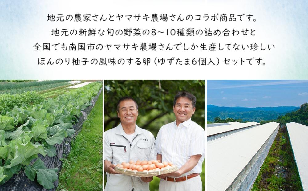 【野菜定期便全12回お届けコース】高知県産　南国土佐の季節野菜と卵（ゆずたま）の詰め合わせセット【新鮮野菜セット卵付き】