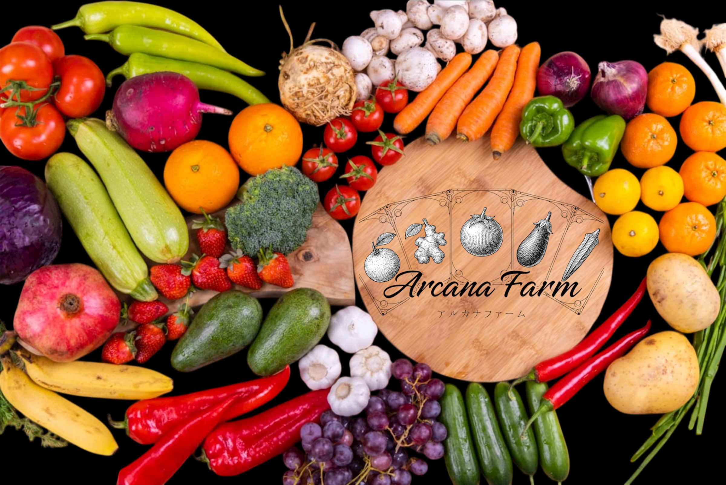 こだわりの新鮮野菜セット 8~11品目 | 野菜セット 新鮮 野菜 人気 季節の野菜 おすすめ 高知県 南国市