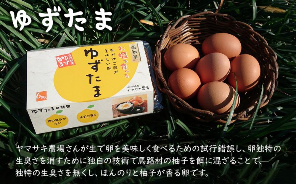 【野菜定期便全6回お届けコース】高知県産　南国土佐の季節野菜と卵（ゆずたま）の詰め合わせセット【新鮮野菜セット卵付き】