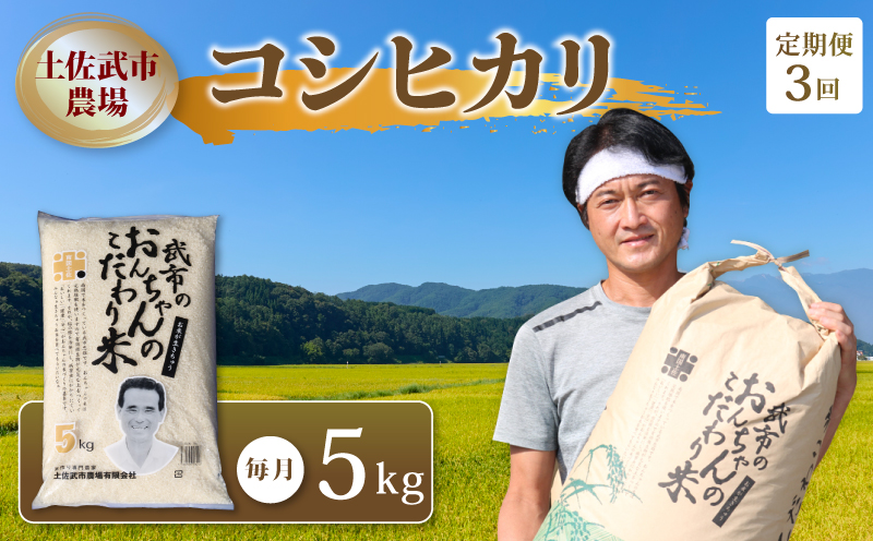 【先行予約】 新米 【お米定期便】 コシヒカリ 白米 【3回】 5キロ 5㎏ 数量限定 米 コメ お米 精米 ご飯 おにぎり こめ ライス 令和8年度 農家直送 産地直送 ふるさと納税 高知県 南国市