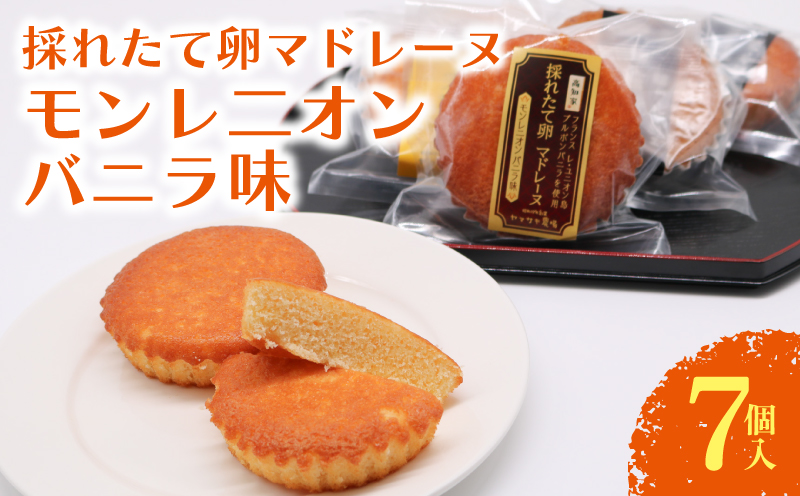 マドレーヌ モンレニオンバニラ 7個入 | バニラ はちみつ 蜂蜜 ハチミツ アーモンド 焼き菓子 お菓子 おかし 贈答用 ギフト 包装 スイーツ 人気 おすすめ たまご 卵 高知県 南国市
