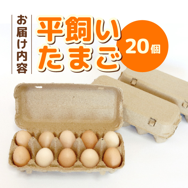 平飼い卵 20個入り たまご 卵 タマゴ 鶏卵