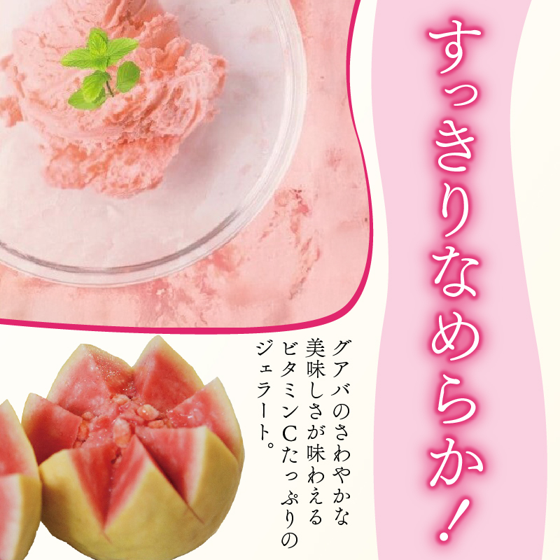 ãïŒåå
¥ããææ©ã°ã¢ã蟲åã®ãªããããžã§ã©ãŒã