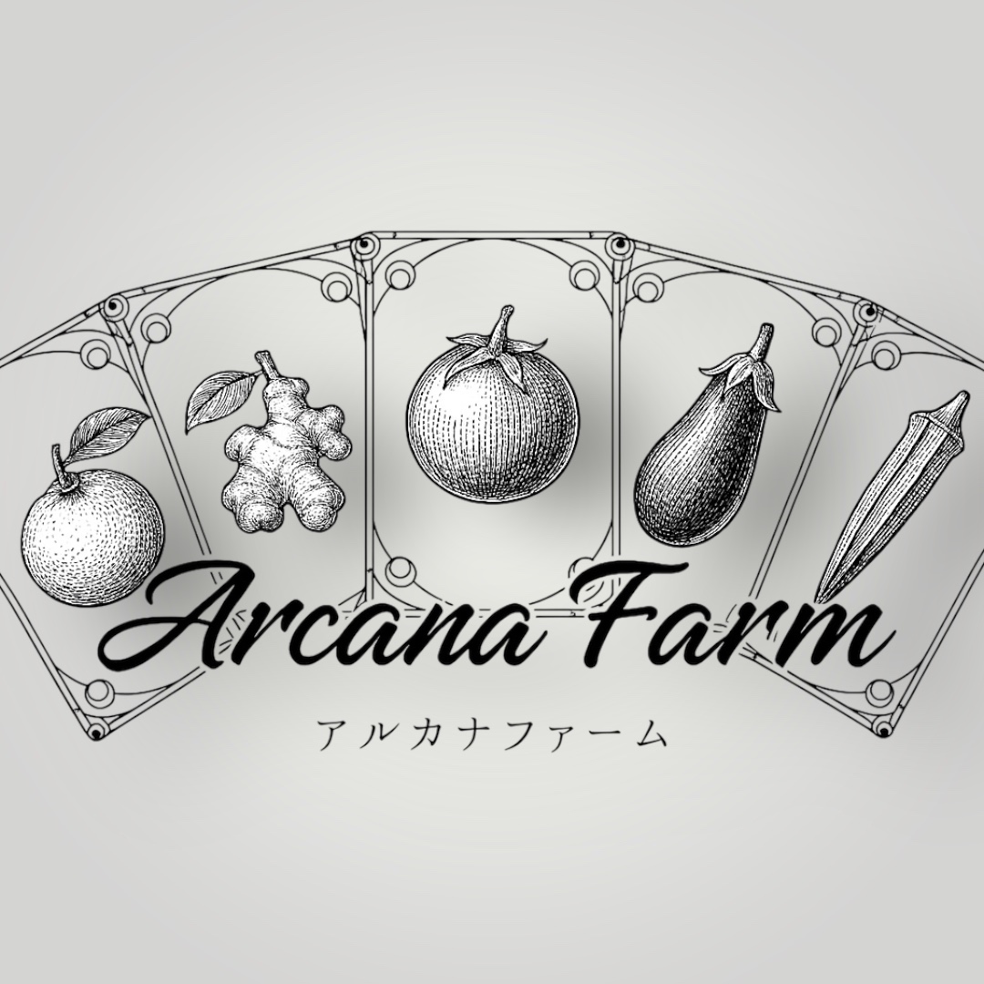 縲2蝗槫ョ壽悄萓ソ縲代%縺繧上j縺ョ譁ー魄ョ驥手除繧サ繝繝 8~11蜩∫岼 | 驥手除繧サ繝繝 譁ー魄ョ 驥手除 莠コ豌 蟄」遽縺ョ驥手除 縺翫☆縺吶a 鬮倡衍逵 蜊怜嵜蟶