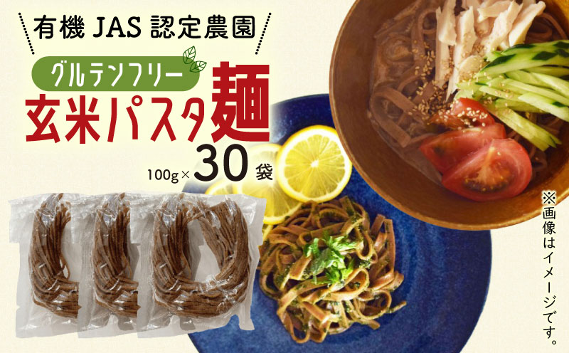 有機グアバ農園のグルテンフリー玄米パスタ麺 100g×30袋セット | グルテン フリー ダイエット 健康 食品 健康 メン 人気 おすすめ 高知県 南国市