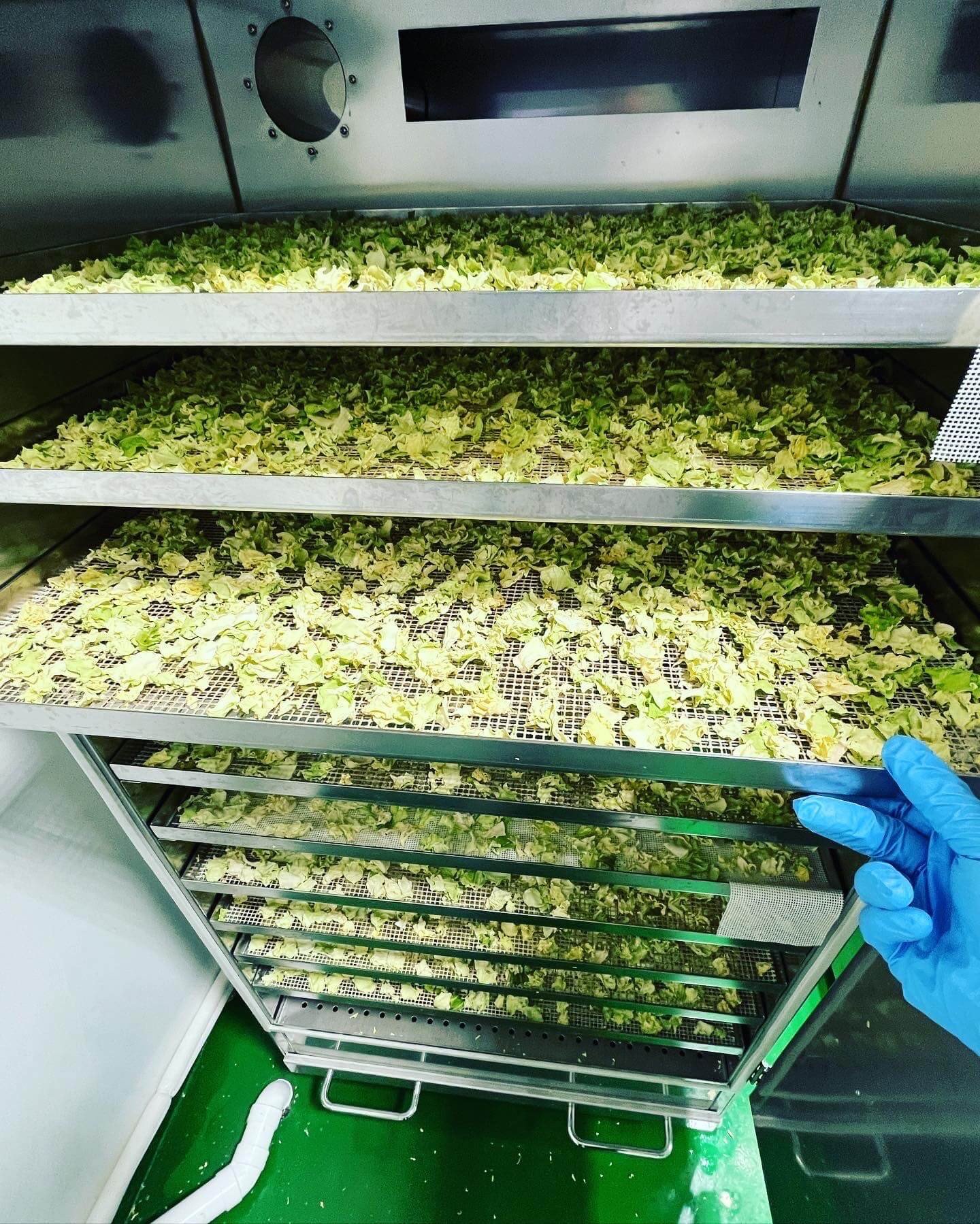 é«ç¥ä¹Ÿç¥éèããã¯ã¹å€§è¢ 100g | éè ããã ãã£ãã ããã¹ã€ 人å ãã³ãžã³ ã«ããã çãã ããŸãã ãã®ã ãšãã ãã®ã ããã³ å°æŸè ããŸã€ãª é²çœé£ çœå®³é£ äŸ¿å© é·æä¿å æ é€ ä¹Ÿç¥ é£å ç°¡å調ç äººæ° ãããã ãªãŒã«ã¹ããŒããŒã ããŒã é«ç¥ç ååœåž