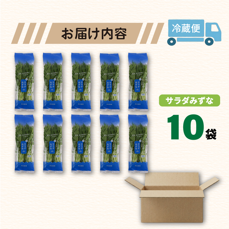 葉野菜 サラダ みずな | ほうれんそう ホウレンソウ 水菜 ミズナ 生食 野菜 セット 新鮮 健康 人気 おすすめ 高知県 南国市