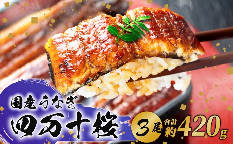 【通常用】極上国産うなぎ四万十桜 蒲焼き約140g×3尾 | うなぎ 鰻 蒲焼き 国産 四万十鰻 白焼き 調理済み タレ付き ギフト（お歳暮/お正月）高級 お取り寄せ グルメ 食べ比べ 冷凍