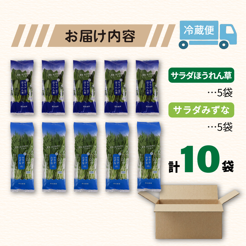 葉野菜 2種セット サラダ ほうれん草 みずな | ほうれんそう ホウレンソウ 水菜 ミズナ 生食 野菜 セット 新鮮 健康 人気 おすすめ 高知県 南国市