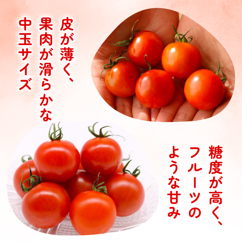 ãã«ãã£ã«ããã 1kg | å
è¡äºçŽ ããã ãã«ãã£ã«ããã ãšãŸãš ãã«ãŒã æç© éè å³éž äººæ° ã®ãã ãã¬ãŒã³ã èŽãç© ãã ãã® æ¬ ãåãå¯ã çã ç£å°çŽéããã å£ç¯éå® æééå® è¥¿å³¶åèžå£å° é«ç¥ç ååœåž