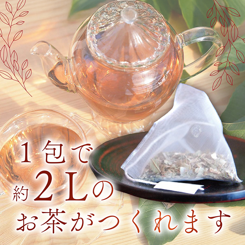 国産有機栽培グァバ葉100％使用 土佐國グァバ茶（2g×30包）【お茶 飲料 健康茶 国産 漢方 人気 おすすめ 高知県 南国市】