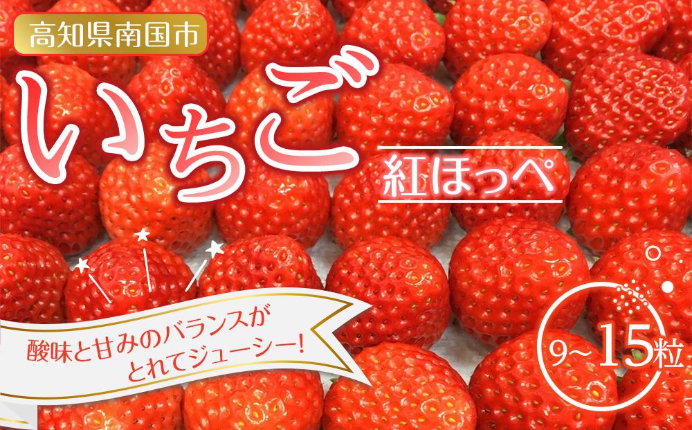 南国市産いちご １パック（9～15粒）