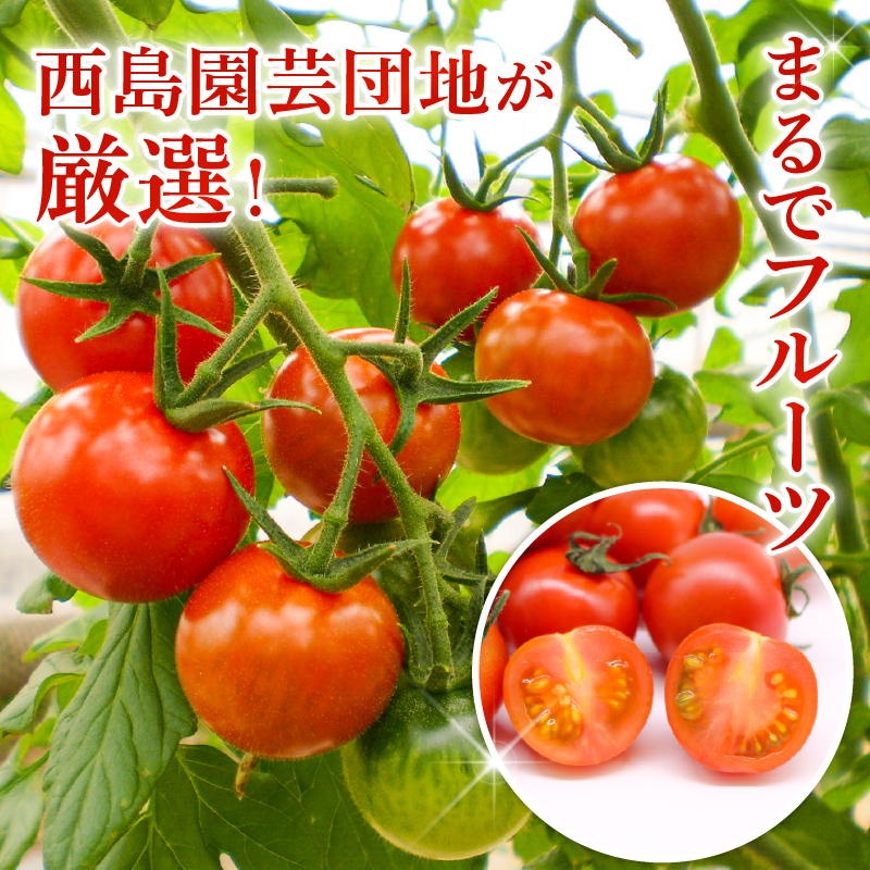 ãã«ãã£ã«ããã 1kg | å
è¡äºçŽ ããã ãã«ãã£ã«ããã ãšãŸãš ãã«ãŒã æç© éè å³éž äººæ° ã®ãã ãã¬ãŒã³ã èŽãç© ãã ãã® æ¬ ãåãå¯ã çã ç£å°çŽéããã å£ç¯éå® æééå® è¥¿å³¶åèžå£å° é«ç¥ç ååœåž