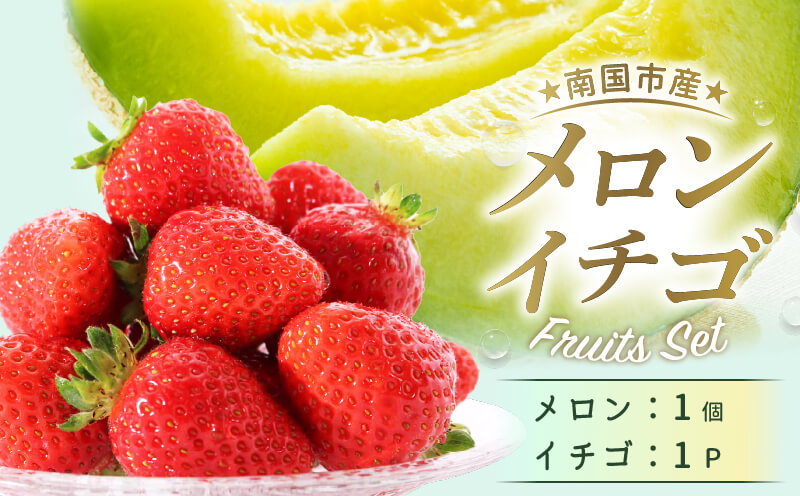 【先行予約】高知県南国市産／メロンといちごセット（2025年2月〜発送）【メロン 苺 フルーツ くだもの デザート 高評価 人気 おすすめ】