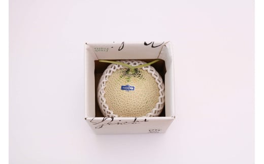 高知県南国市産／贈答用マスクメロン（1個）【メロン フルーツ くだもの デザート 高評価 厳選 高級 ギフト 贈り物 人気 おすすめ】【メロン マスクメロン フルーツ 果物 くだもの 食品 デザート 高評価 厳選 高級 ギフト 贈り物 人気 おすすめ 】