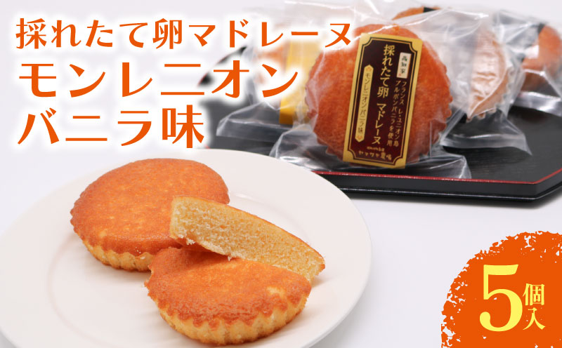 マドレーヌ モンレニオンバニラ 5個入 | バニラ はちみつ 蜂蜜 ハチミツ アーモンド 焼き菓子 お菓子 おかし 家庭用 ギフト 包装 スイーツ 人気 おすすめ たまご 卵 高知県 南国市