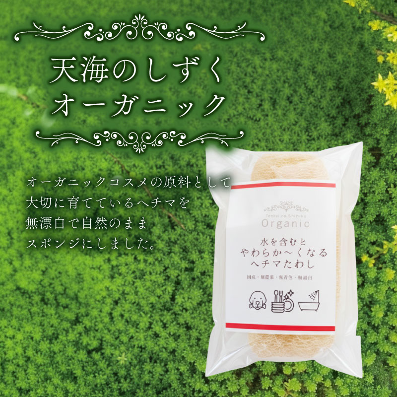 ヘチマたわし Lサイズ | 日用品 ヘチマ へちま たわし スポンジ 有機JAS認定 高知県 南国市