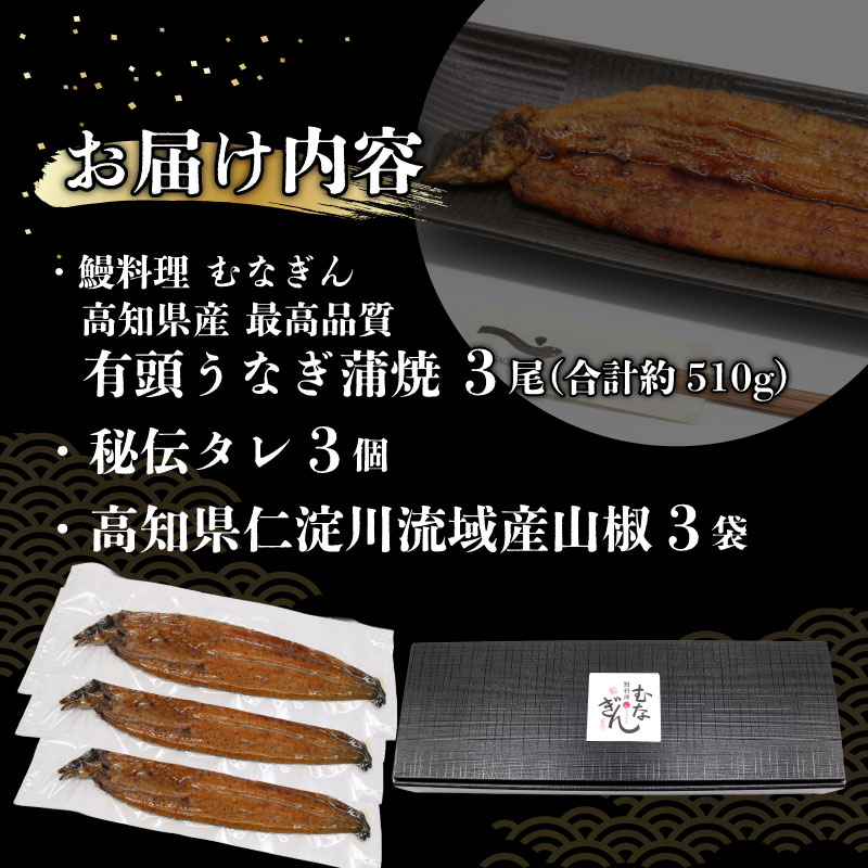 うなぎ蒲焼 約170g×3尾 高知県産 最高品質 合計約510g たれ 山椒 国産 鰻 かば焼 土佐焼 うな丼 うな重 高知県 南国市