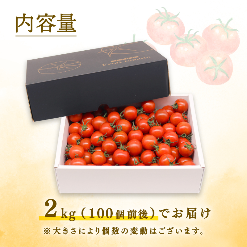 フルティカトマト 2kg | トマト フルティカトマト とまと フルーツ 果物 野菜 厳選 人気 ギフト プレゼント 贈り物 くだもの 旬 お取り寄せ 甘い 産地直送トマト 季節限定 期間限定 西島園芸団地 高知県 南国市