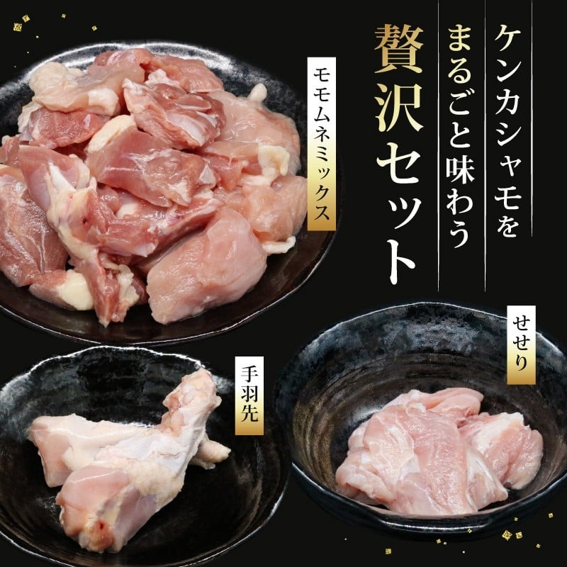 【3種定期便】ごめんケンカシャモ3種 (鍋・すき焼き・焼肉) | 鍋 鍋セット お鍋 すき焼きセット 焼肉セット ギフト 冷凍 しゃも シャモ 軍鶏 国産鶏肉 チキン とりにく 鶏肉 国産鶏