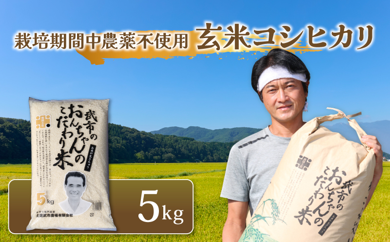 [先行予約] 新米 特別栽培米 栽培期間中農薬不使用 玄米 コシヒカリ 数量限定 5キロ 5kg 令和8年度 米 コメ お米 ご飯 おにぎり こめ 農家直送 産地直送 高知県 南国市