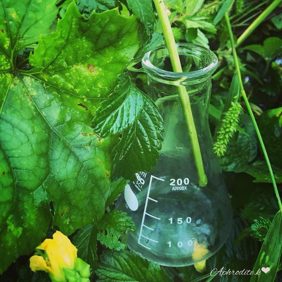 天然原料100％の天海のしずくオーガニック 化粧水 120ml×2本 | 化粧品 オーガニック コスメ グアバ 美容 美肌 柚子 ゆず 自家栽培 びよう 人気 おすすめ 高知県 南国市